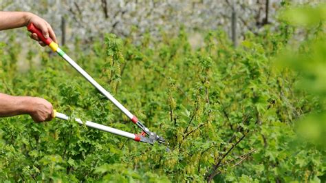 gartenarbeit nackt